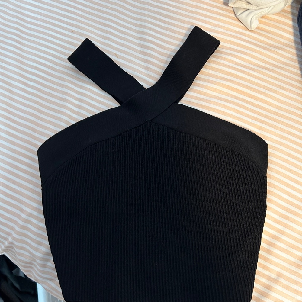 ARITZIA BABTON Sculpt knit